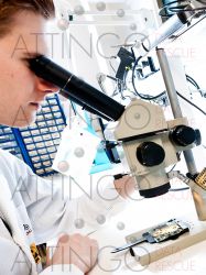 ID 139 datenretter untersuchen ssd mikroskop