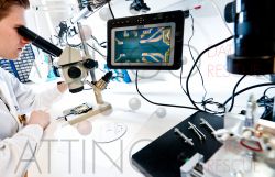 ID 137 reinraumlabor ueberpruefen techniker datentraeger defekt