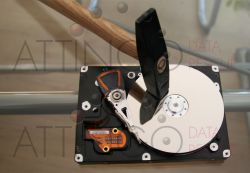 ID 151 festplatte hammer