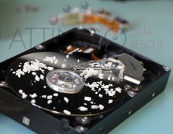 attingo festplatte kokosraspeln