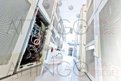 serverschrank offen attingo koffer