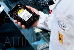 techniker festplatte nahaufnahme